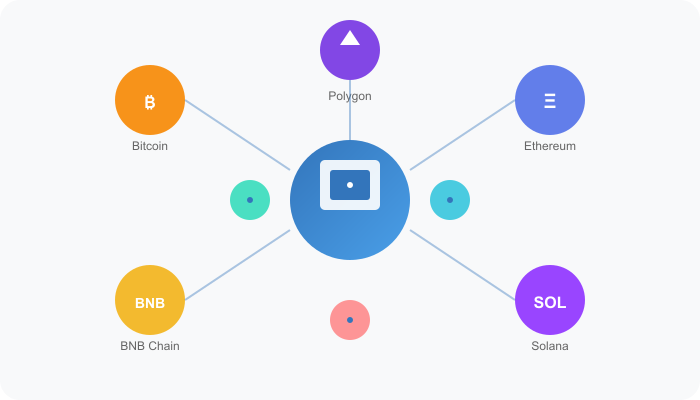Trust Wallet supporting multiple blockchain networks and cryptocurrencies